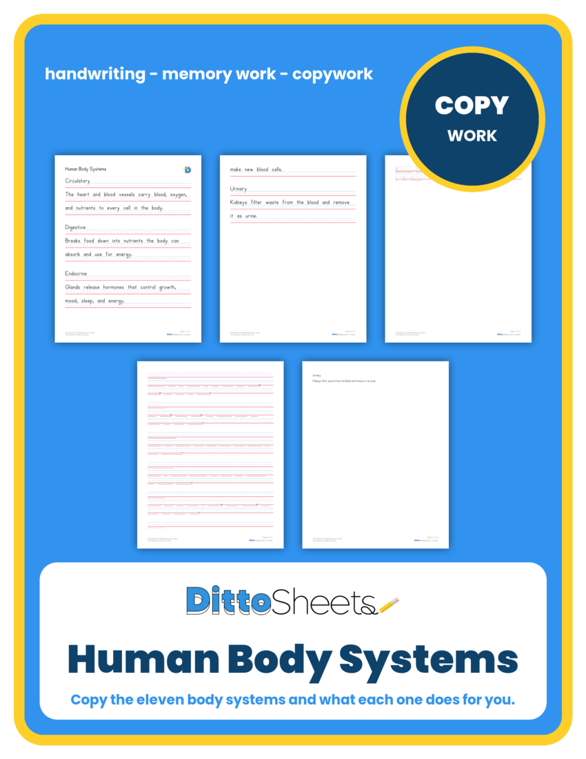 Human Body Systems Copywork printable worksheet preview